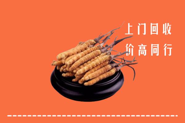 附近收购：临洮县冬虫夏草回收多少钱每克