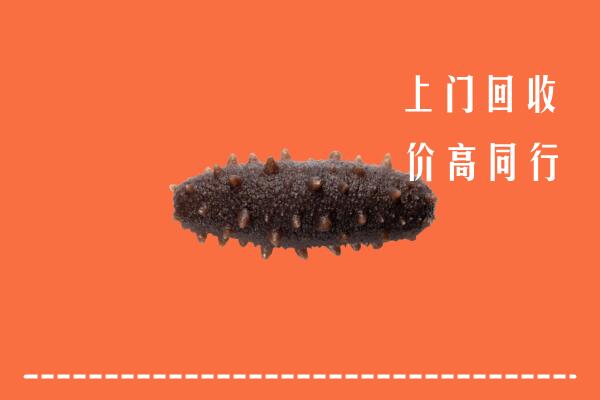 临洮县回收海参
