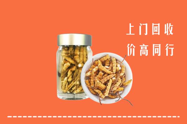 临洮县回收冬虫夏草