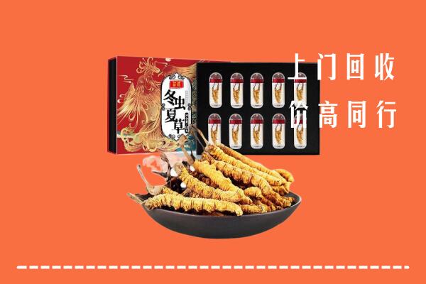 临洮县回收虫草